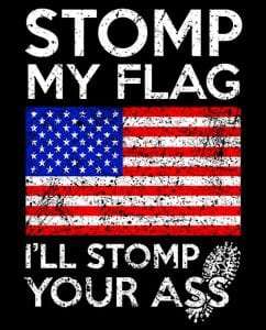 Stomp My Flag I'll Stomp Your Ass Graphic T-Shirt main vector design