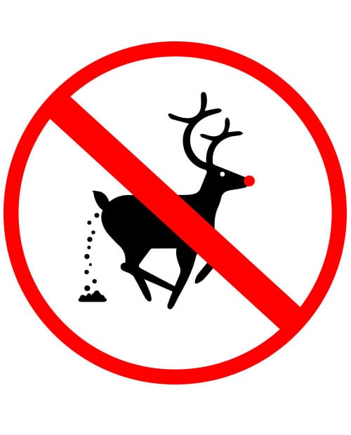 No Pooping Reindeer Graphic T-Shirt main vector