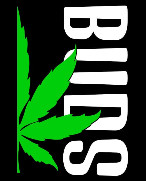 This is the main graphic design for the Weed Shirt: Buds of Best Buds
